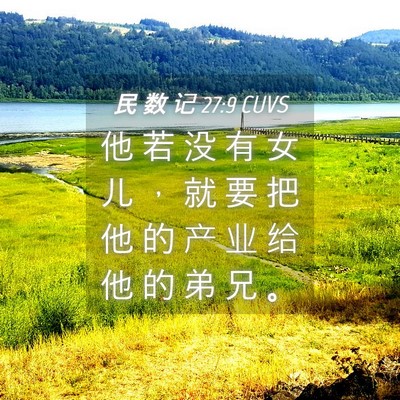 Picture 04 - 民 数 记 27:9 CUVS - 他 若 没 有 女 儿 ， 就 要 把 他 的 - Bible Verse Picture
