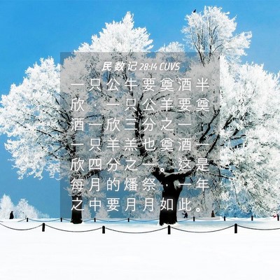 Picture 04 - 民 数 记 28:14 CUVS - 一 只 公 牛 要 奠 酒 半 欣 ， 一 只 - Bible Verse Picture