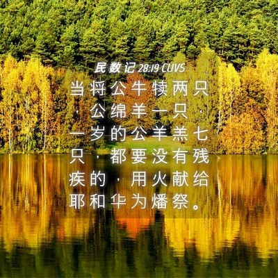 Picture 04 - 民 数 记 28:19 CUVS - 当 将 公 牛 犊 两 只 ， 公 绵 羊 一 - Bible Verse Picture