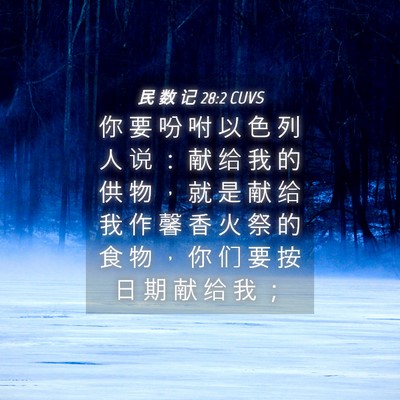 Picture 04 - 民 数 记 28:2 CUVS - 你 要 吩 咐 以 色 列 人 说 ： 献 给 - Bible Verse Picture