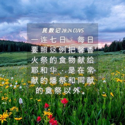 Picture 04 - 民 数 记 28:24 CUVS - 一 连 七 日 ， 每 日 要 照 这 例 把 - Bible Verse Picture