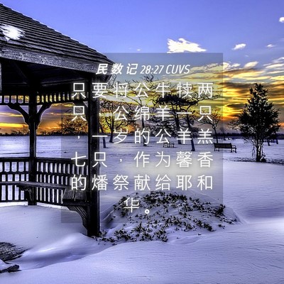 Picture 04 - 民 数 记 28:27 CUVS - 只 要 将 公 牛 犊 两 只 ， 公 绵 羊 - Bible Verse Picture