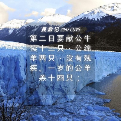 Picture 04 - 民 数 记 29:17 CUVS - 第 二 日 要 献 公 牛 犊 十 二 只 ， - Bible Verse Picture