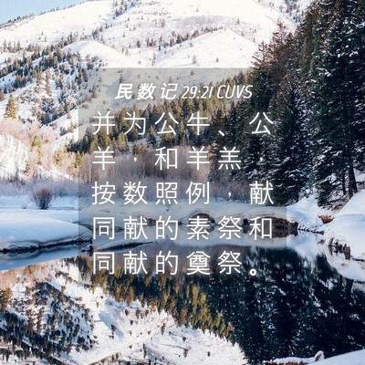 Picture 04 - 民 数 记 29:21 CUVS - 并 为 公 牛 、 公 羊 ， 和 羊 羔 ， - Bible Verse Picture