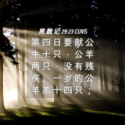 Picture 04 - 民 数 记 29:23 CUVS - 第 四 日 要 献 公 牛 十 只 ， 公 羊 - Bible Verse Picture