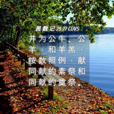 Picture 04 - 民 数 记 29:27 CUVS - 并 为 公 牛 、 公 羊 ， 和 羊 羔 ， - Bible Verse Picture