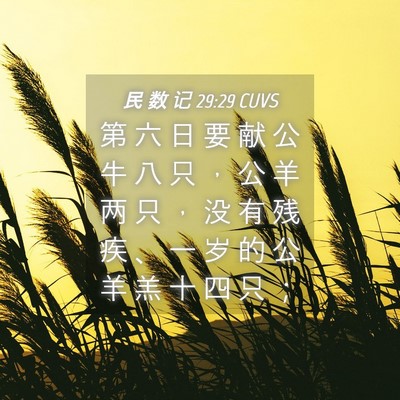 Picture 04 - 民 数 记 29:29 CUVS - 第 六 日 要 献 公 牛 八 只 ， 公 羊 - Bible Verse Picture