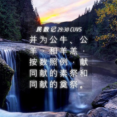 Picture 04 - 民 数 记 29:30 CUVS - 并 为 公 牛 、 公 羊 ， 和 羊 羔 ， - Bible Verse Picture