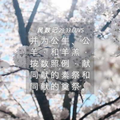 Picture 04 - 民 数 记 29:33 CUVS - 并 为 公 牛 、 公 羊 ， 和 羊 羔 ， - Bible Verse Picture