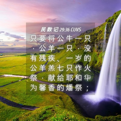 Picture 04 - 民 数 记 29:36 CUVS - 只 要 将 公 牛 一 只 ， 公 羊 一 只 - Bible Verse Picture