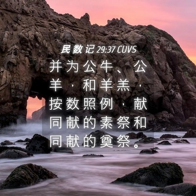 Picture 04 - 民 数 记 29:37 CUVS - 并 为 公 牛 、 公 羊 ， 和 羊 羔 ， - Bible Verse Picture