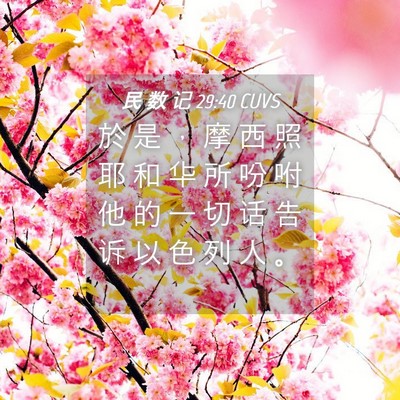Picture 04 - 民 数 记 29:40 CUVS - 於 是 ， 摩 西 照 耶 和 华 所 吩 咐 - Bible Verse Picture