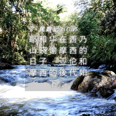 Picture 04 - 民 数 记 3:1 CUVS - 耶 和 华 在 西 乃 山 晓 谕 摩 西 的 - Bible Verse Picture