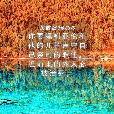 Picture 04 - 民 数 记 3:10 CUVS - 你 要 嘱 咐 亚 伦 和 他 的 儿 子 谨 - Bible Verse Picture