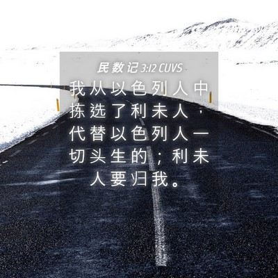 Picture 04 - 民 数 记 3:12 CUVS - 我 从 以 色 列 人 中 拣 选 了 利 未 - Bible Verse Picture