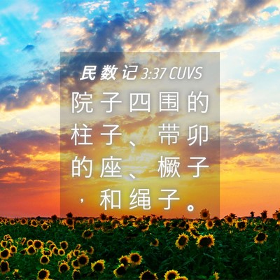 Picture 04 - 民 数 记 3:37 CUVS - 院 子 四 围 的 柱 子 、 带 卯 的 座 - Bible Verse Picture