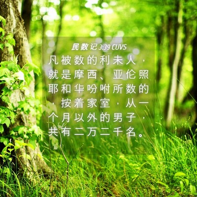 Picture 04 - 民 数 记 3:39 CUVS - 凡 被 数 的 利 未 人 ， 就 是 摩 西 - Bible Verse Picture