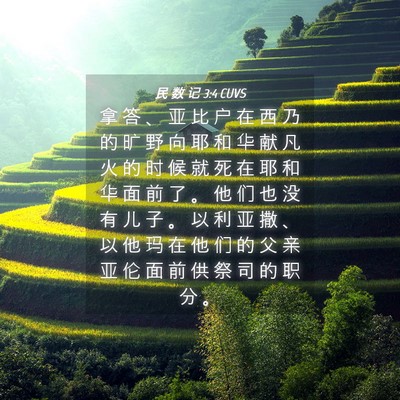 Picture 04 - 民 数 记 3:4 CUVS - 拿 答 、 亚 比 户 在 西 乃 的 旷 野 - Bible Verse Picture