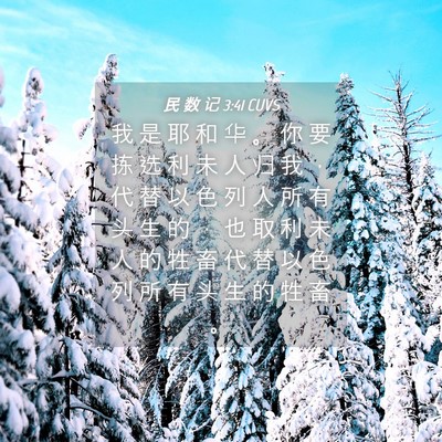 Picture 04 - 民 数 记 3:41 CUVS - 我 是 耶 和 华 。 你 要 拣 选 利 未 - Bible Verse Picture