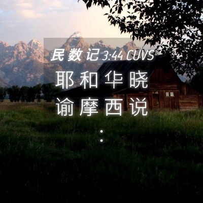 Picture 04 - 民 数 记 3:44 CUVS - 耶 和 华 晓 谕 摩 西 说 - Bible Verse Picture