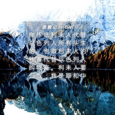 Picture 04 - 民 数 记 3:45 CUVS - 你 拣 选 利 未 人 代 替 以 色 列 人 - Bible Verse Picture