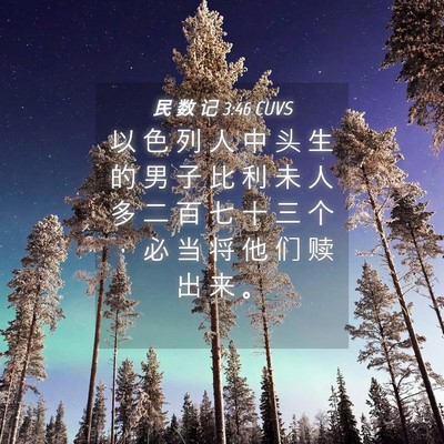 Picture 04 - 民 数 记 3:46 CUVS - 以 色 列 人 中 头 生 的 男 子 比 利 - Bible Verse Picture