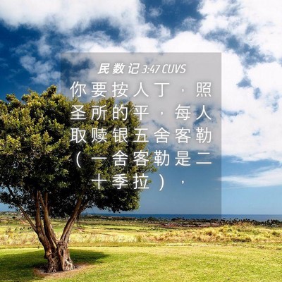 Picture 04 - 民 数 记 3:47 CUVS - 你 要 按 人 丁 ， 照 圣 所 的 平 ， - Bible Verse Picture