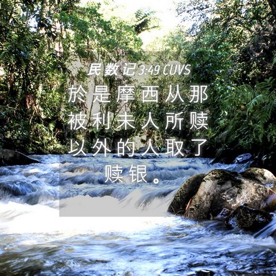Picture 04 - 民 数 记 3:49 CUVS - 於 是 摩 西 从 那 被 利 未 人 所 赎 - Bible Verse Picture