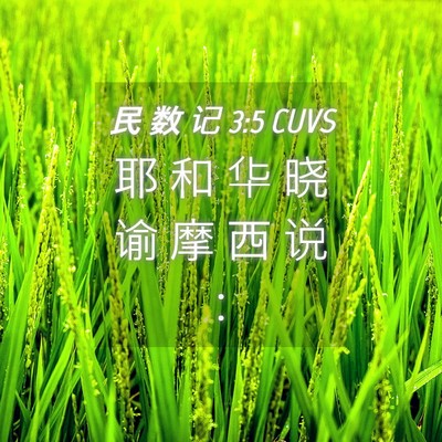 Picture 04 - 民 数 记 3:5 CUVS - 耶 和 华 晓 谕 摩 西 说 - Bible Verse Picture