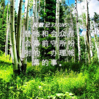 Picture 04 - 民 数 记 3:7 CUVS - 替 他 和 会 众 在 会 幕 前 守 所 吩 - Bible Verse Picture