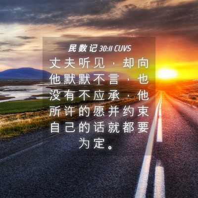 Picture 04 - 民 数 记 30:11 CUVS - 丈 夫 听 见 ， 却 向 他 默 默 不 言 - Bible Verse Picture