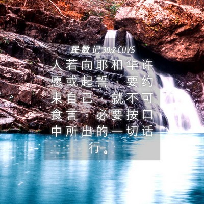 Picture 04 - 民 数 记 30:2 CUVS - 人 若 向 耶 和 华 许 愿 或 起 誓 ， - Bible Verse Picture