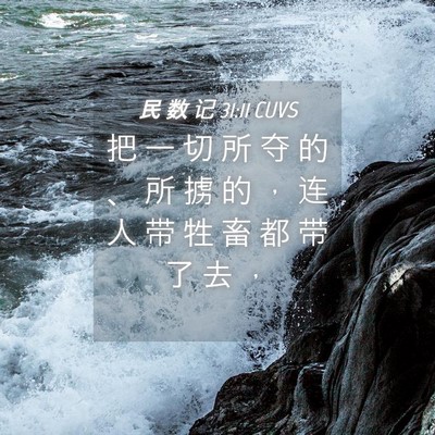 Picture 04 - 民 数 记 31:11 CUVS - 把 一 切 所 夺 的 、 所 掳 的 ， 连 - Bible Verse Picture