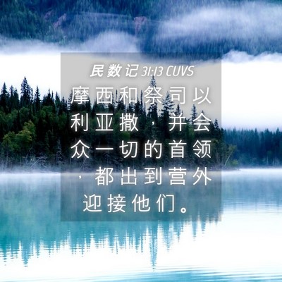 Picture 04 - 民 数 记 31:13 CUVS - 摩 西 和 祭 司 以 利 亚 撒 ， 并 会 - Bible Verse Picture
