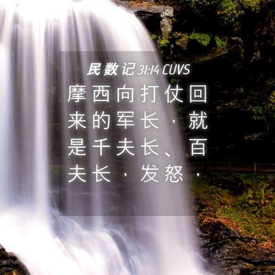 Picture 04 - 民 数 记 31:14 CUVS - 摩 西 向 打 仗 回 来 的 军 长 ， 就 - Bible Verse Picture