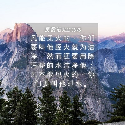 Picture 04 - 民 数 记 31:23 CUVS - 凡 能 见 火 的 ， 你 们 要 叫 他 经 - Bible Verse Picture