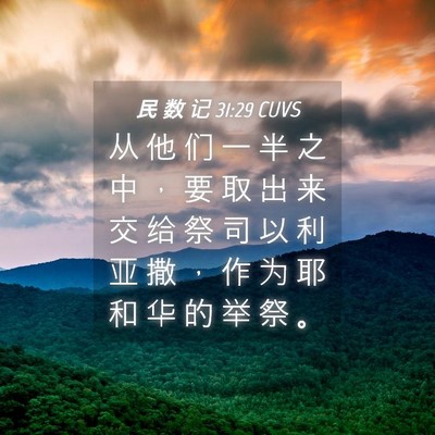Picture 04 - 民 数 记 31:29 CUVS - 从 他 们 一 半 之 中 ， 要 取 出 来 - Bible Verse Picture