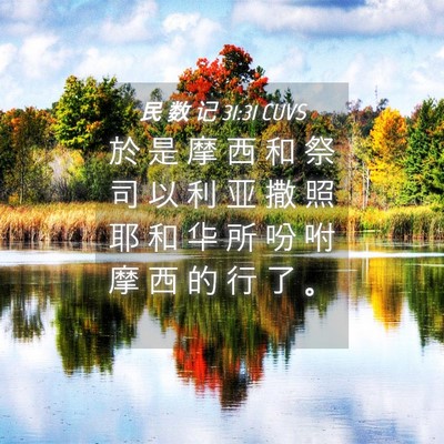 Picture 04 - 民 数 记 31:31 CUVS - 於 是 摩 西 和 祭 司 以 利 亚 撒 照 - Bible Verse Picture