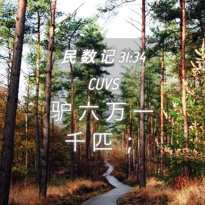 Picture 04 - 民 数 记 31:34 CUVS - 驴 六 万 一 千 匹 - Bible Verse Picture