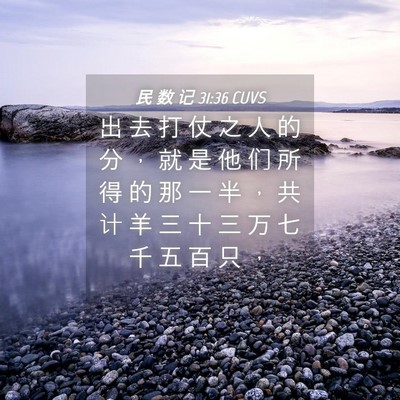 Picture 04 - 民 数 记 31:36 CUVS - 出 去 打 仗 之 人 的 分 ， 就 是 他 - Bible Verse Picture