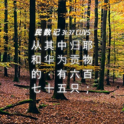 Picture 04 - 民 数 记 31:37 CUVS - 从 其 中 归 耶 和 华 为 贡 物 的 ， - Bible Verse Picture
