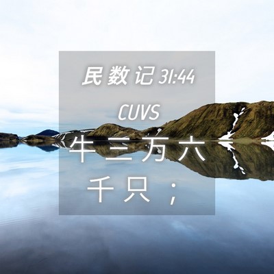Picture 04 - 民 数 记 31:44 CUVS - 牛 三 万 六 千 只 - Bible Verse Picture