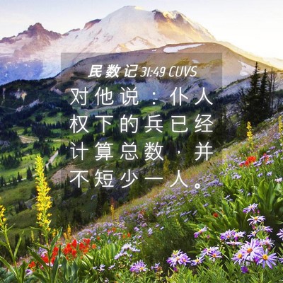 Picture 04 - 民 数 记 31:49 CUVS - 对 他 说 ： 仆 人 权 下 的 兵 已 经 - Bible Verse Picture