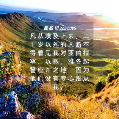 Picture 04 - 民 数 记 32:11 CUVS - 凡 从 埃 及 上 来 、 二 十 岁 以 外 - Bible Verse Picture