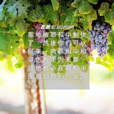 Picture 04 - 民 数 记 32:22 CUVS - 那 地 被 耶 和 华 制 伏 了 ， 然 後 - Bible Verse Picture