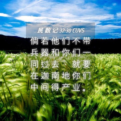 Picture 04 - 民 数 记 32:30 CUVS - 倘 若 他 们 不 带 兵 器 和 你 们 一 - Bible Verse Picture