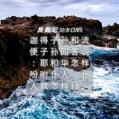 Picture 04 - 民 数 记 32:31 CUVS - 迦 得 子 孙 和 流 便 子 孙 回 答 说 - Bible Verse Picture