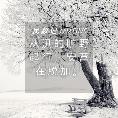 Picture 04 - 民 数 记 33:12 CUVS - 从 汛 的 旷 野 起 行 ， 安 营 在 脱 - Bible Verse Picture