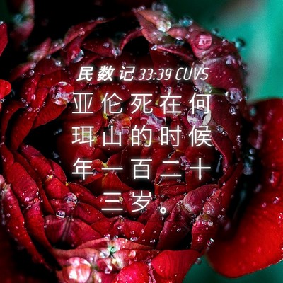 Picture 04 - 民 数 记 33:39 CUVS - 亚 伦 死 在 何 珥 山 的 时 候 年 一 - Bible Verse Picture