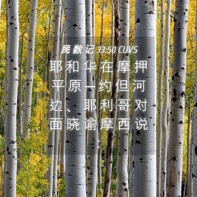 Picture 04 - 民 数 记 33:50 CUVS - 耶 和 华 在 摩 押 平 原 ─ 约 但 河 - Bible Verse Picture